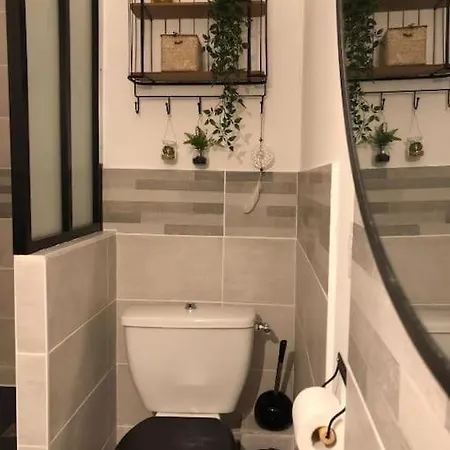 Au Pied De La Cite Apartment Carcassonne