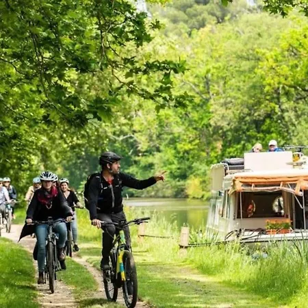 Apartment Au Pied De La Cite Carcassonne