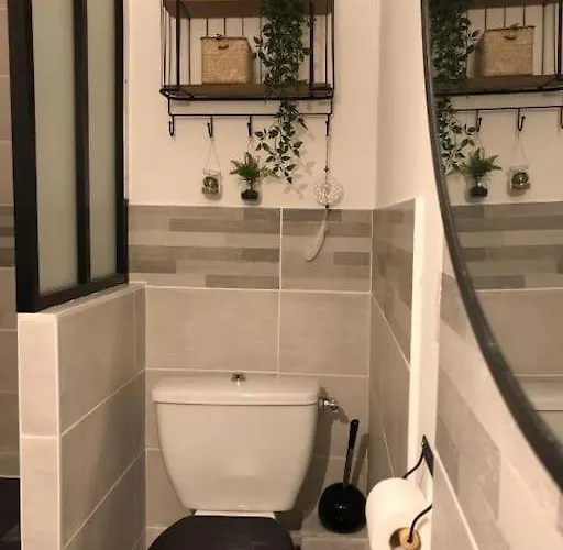 Au Pied De La Cite Apartment Carcassonne