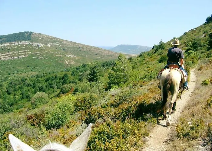 Au Pied De La Cite * Carcassonne